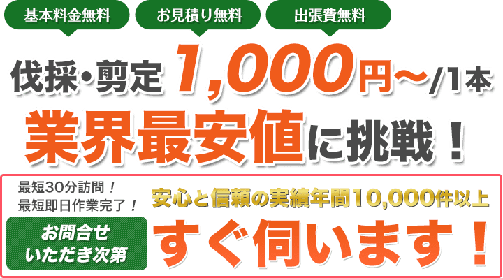 基本料金無料｜お見積もり無料｜出張費無料　伐採に自信あり！作業完了までの工程全て業界最速に挑戦！訪問まで最短30分！作業完了最短当日！お問い合わせいただき次第すぐ伺います！