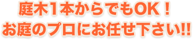 庭木1本からでもOK！お庭のプロにお任せ下さい!!